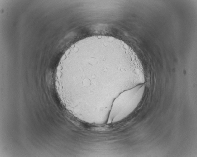 X0000064730511200603131256