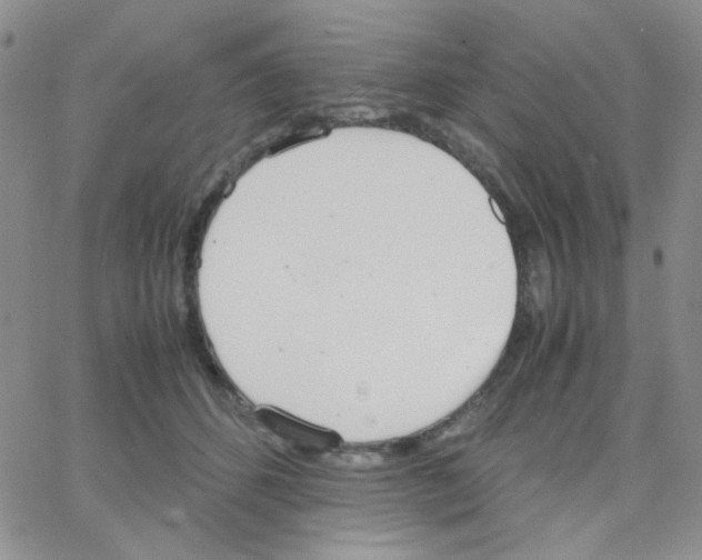 X0000064730512200603131256