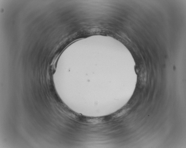 X0000064730516200603131256