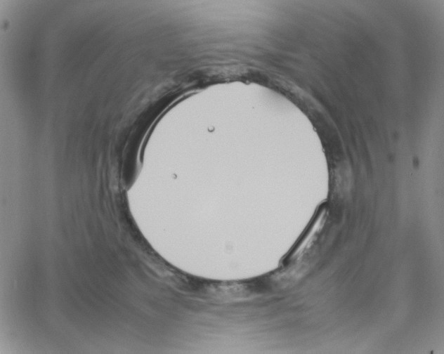 X0000064730517200603131256