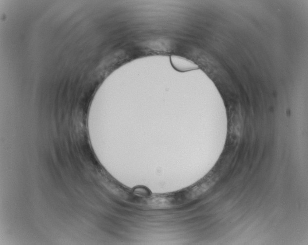 X0000064730518200603131256