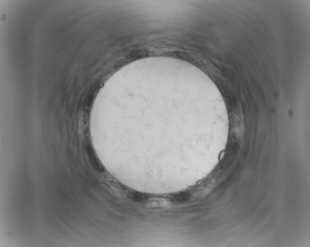 X0000064730519200603131256