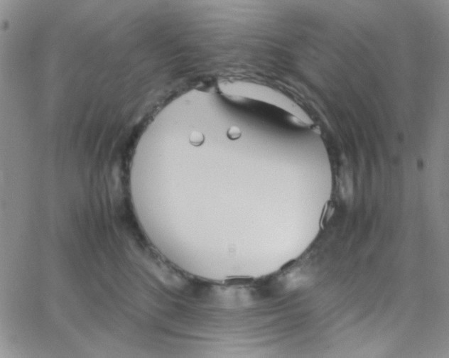 X0000064730520200603131256