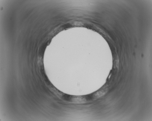 X0000064730521200603131256