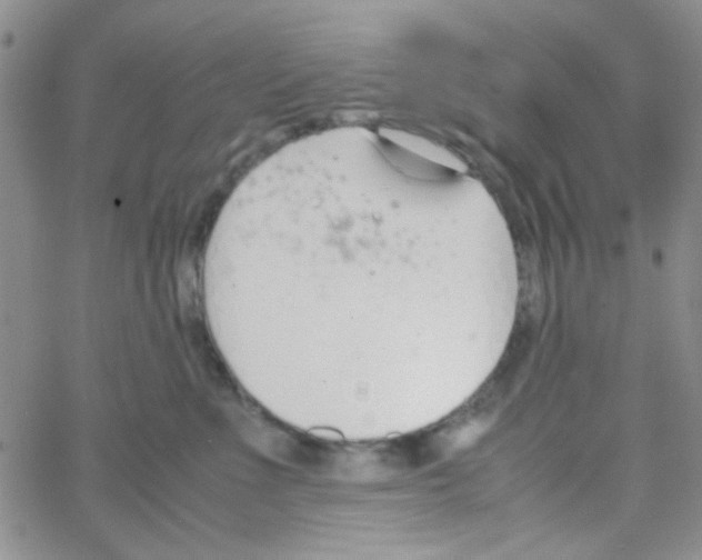 X0000064730523200603131256