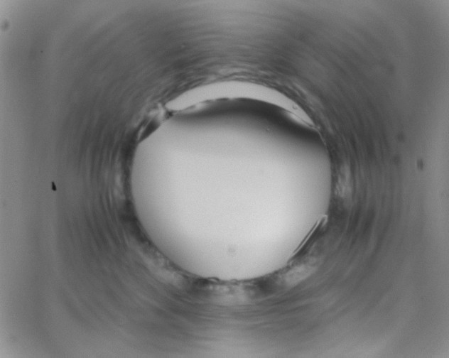 X0000064730524200603131256