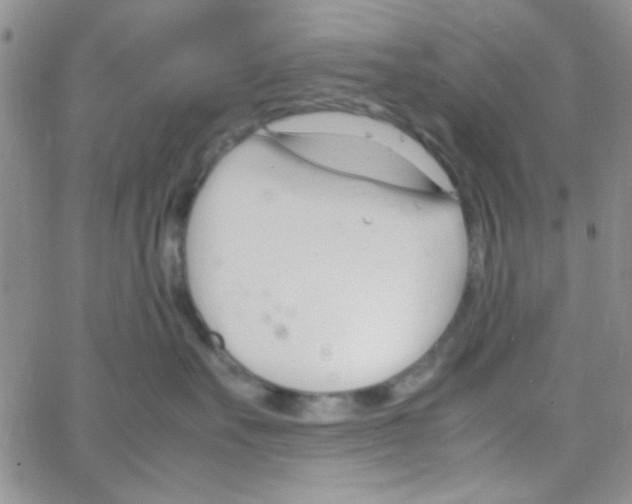 X0000064730527200603131256