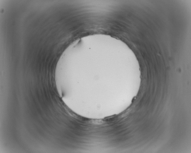 X0000064730528200603131256