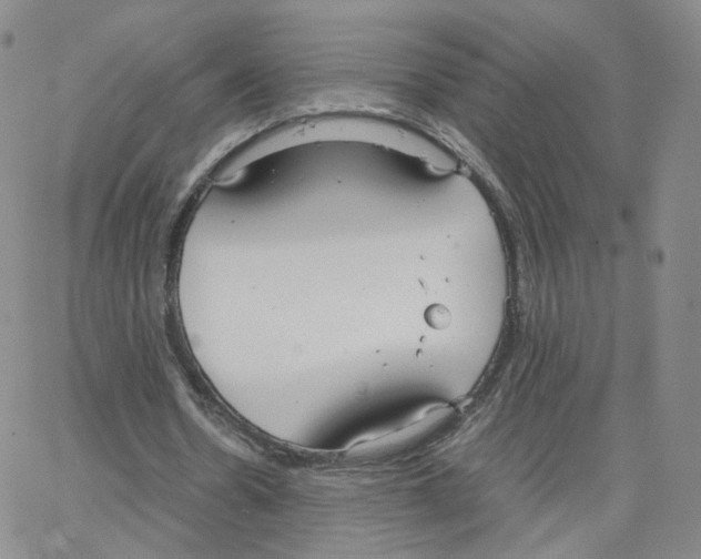 X0000064730530200603131255