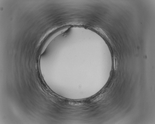 X0000064730531200603131255