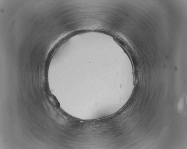 X0000064730532200603131255