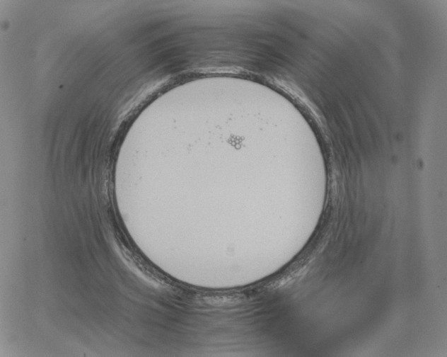 X0000064730533200603131255