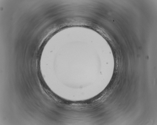 X0000064730534200603131255