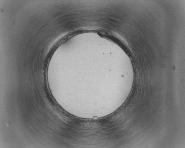 X0000064730535200603131255