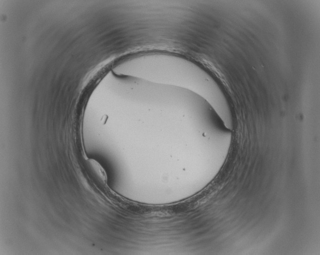 X0000064730536200603131255