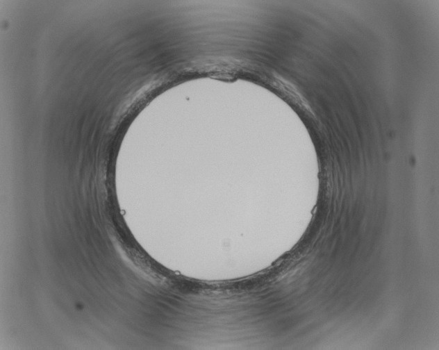 X0000064730538200603131255