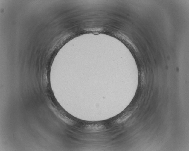 X0000064730541200603131256