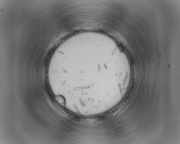 X0000064730542200603131256