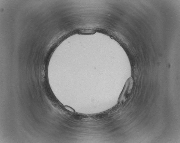 X0000064730544200603131256