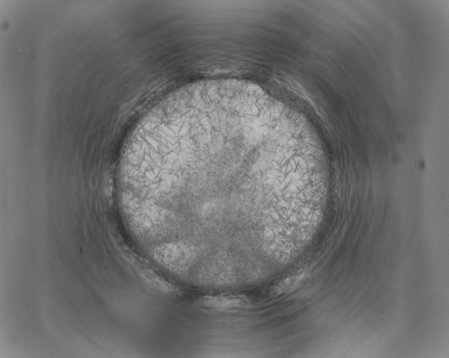 X0000064730545200603131256