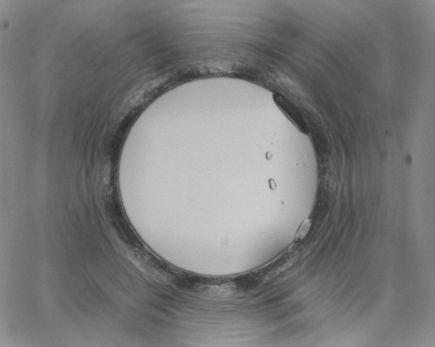 X0000064730548200603131256