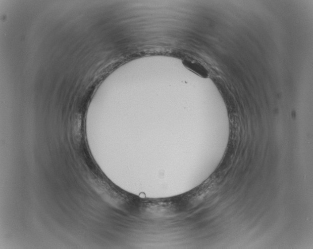 X0000064730550200603131256