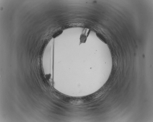 X0000064730551200603131256