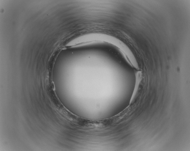 X0000064730552200603131256