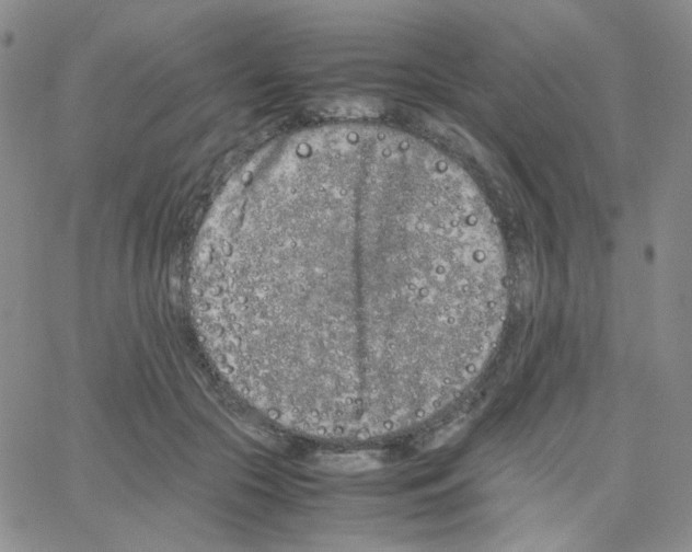 X0000064730553200603131256