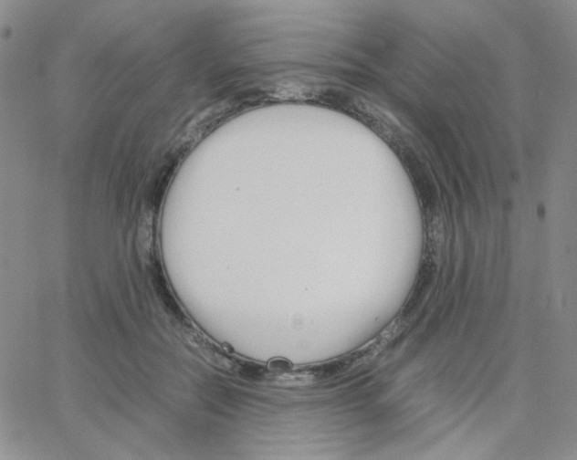 X0000064730554200603131256