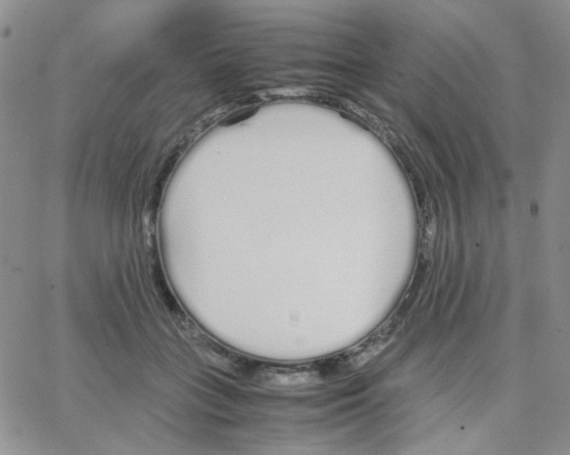 X0000064730555200603131256