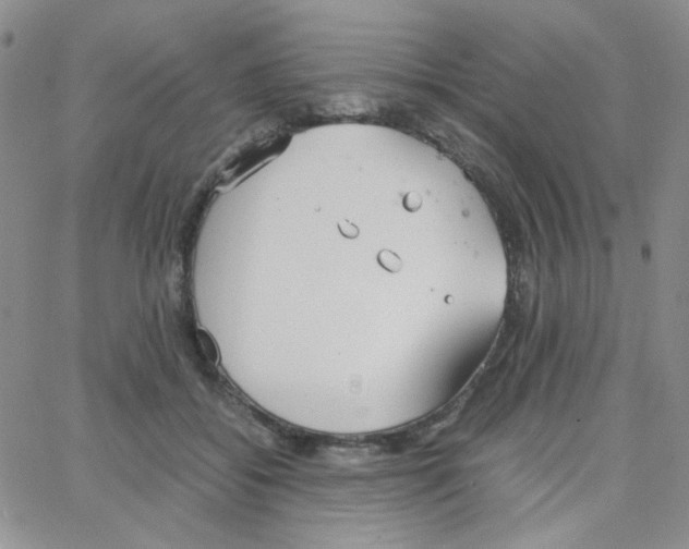 X0000064730556200603131256