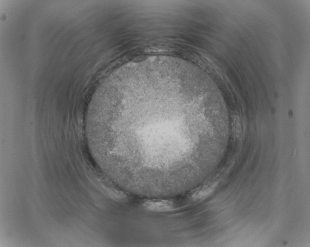 X0000064730557200603131256