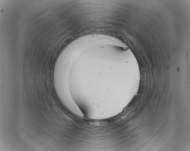 X0000064730558200603131256