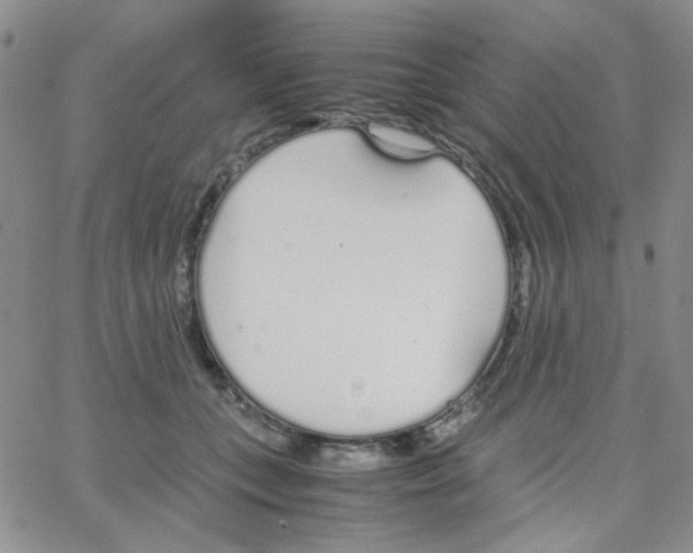 X0000064730559200603131256