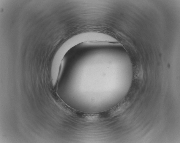 X0000064730560200603131256