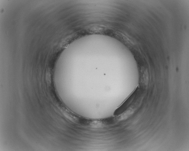 X0000064730562200603131256