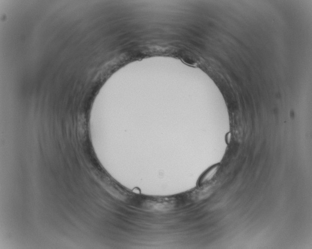 X0000064730563200603131256