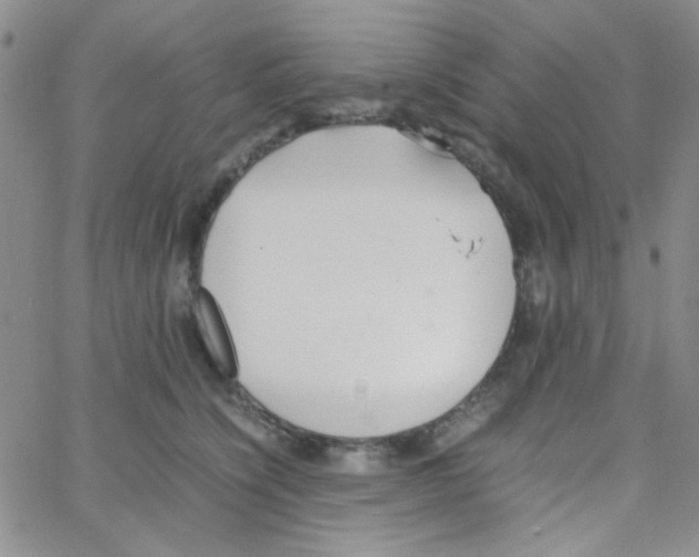 X0000064730564200603131256