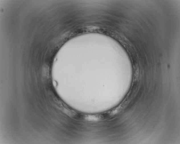 X0000064730565200603131256