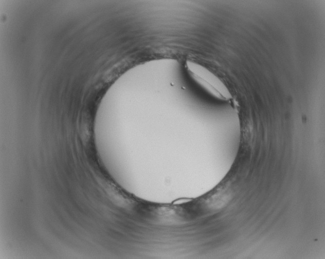 X0000064730566200603131256