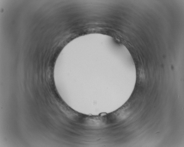 X0000064730567200603131256