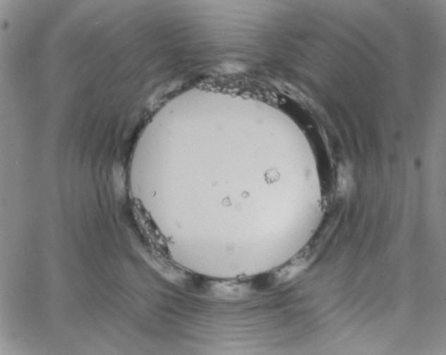 X0000064730568200603131256