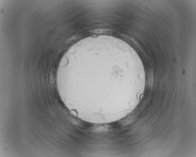 X0000064730569200603131256