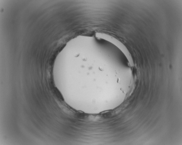 X0000064730570200603131256