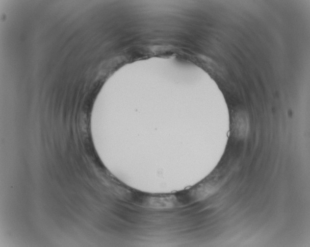 X0000064730571200603131256