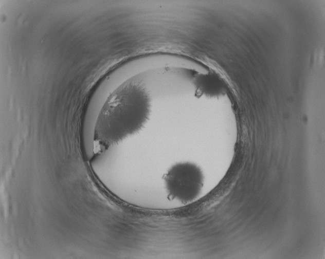 X0000064730577200603131255