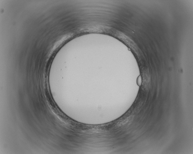 X0000064730578200603131255