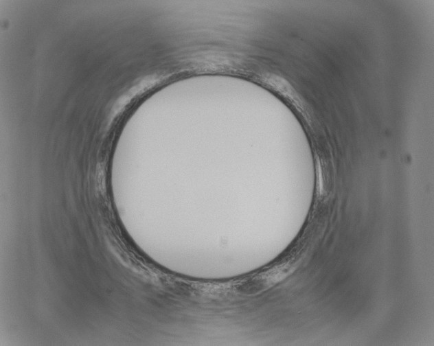 X0000064730579200603131255