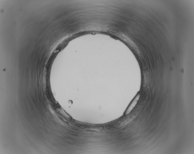 X0000064730580200603131255